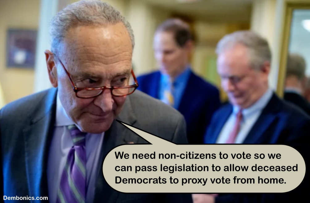 Schumer Non-Citizen Vote